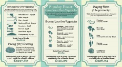 mini sunday-roast-grow-your-own-vegetables