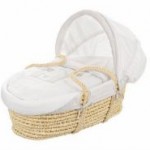 Would Your Baby be Happiest in a Moses Basket?